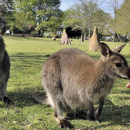 Les Logis Du Forgeron, De Groupe Entre Loire & Vignes Feriehus Saint-Jean-des-Mauvrets
